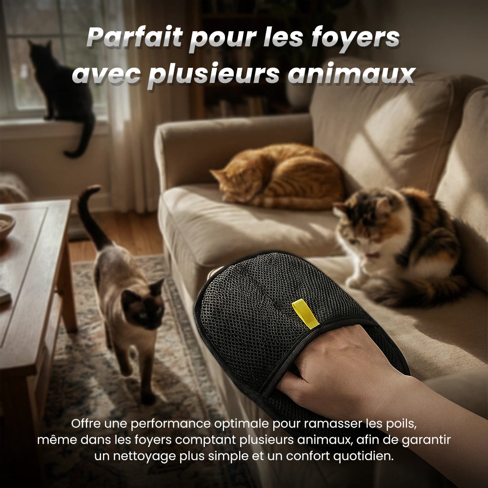 PawsClean™ : La Solution Anti-Poils Ultime Ezofy 🐾✨