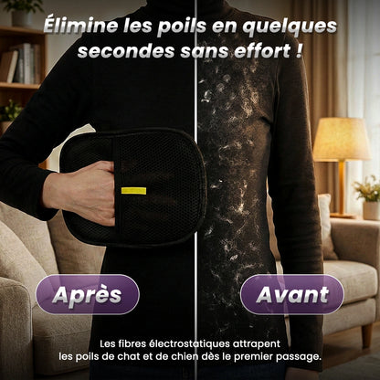 PawsClean™ : La Solution Anti-Poils Ultime Ezofy 🐾✨