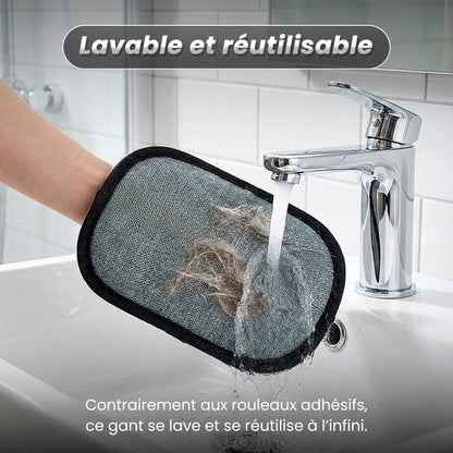 PawsClean™ : La Solution Anti-Poils Ultime Ezofy 🐾✨