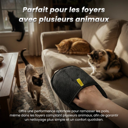PawsClean™ : La Solution Anti-Poils Ultime Ezofy 🐾✨